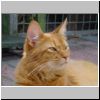 002 Floris.jpg